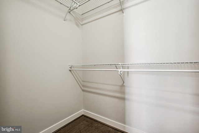 walk in closet with wood finished floors