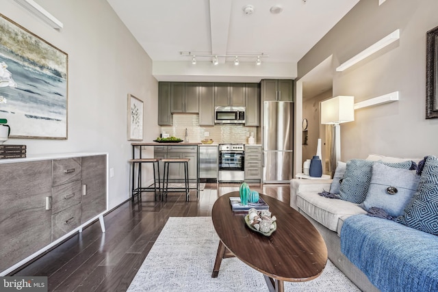 living area featuring dark wood-type flooring