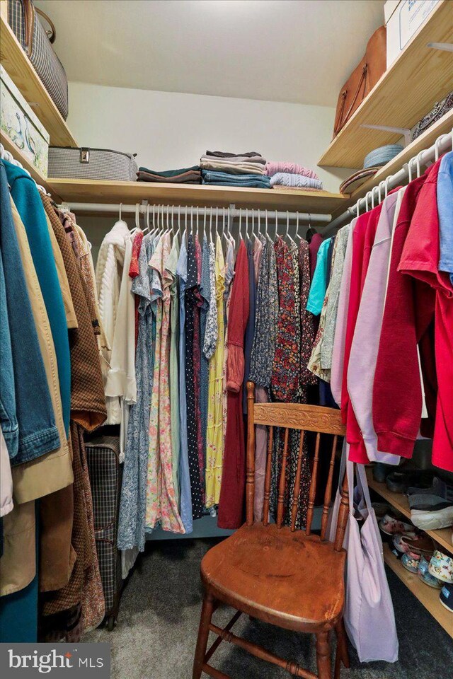 spacious closet with dark carpet