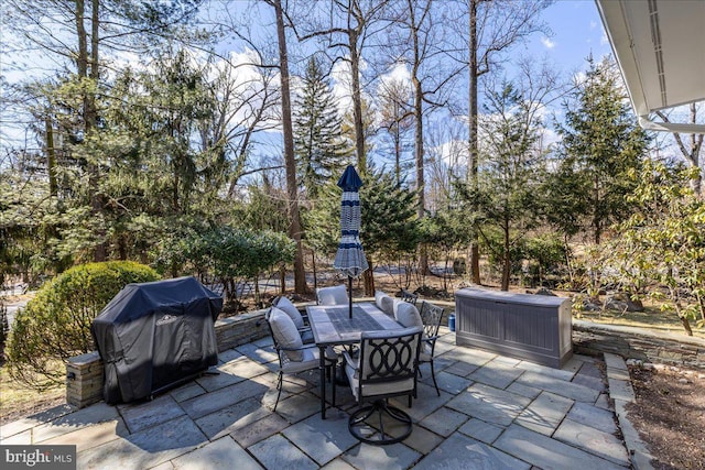 view of patio / terrace featuring outdoor dining space and grilling area