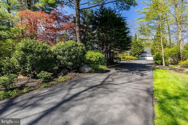 view of street featuring driveway