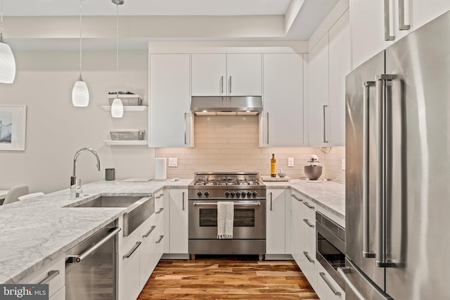 kitchen featuring premium appliances, under cabinet range hood, wood finished floors, a sink, and backsplash