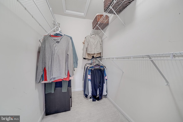 spacious closet with attic access and light colored carpet