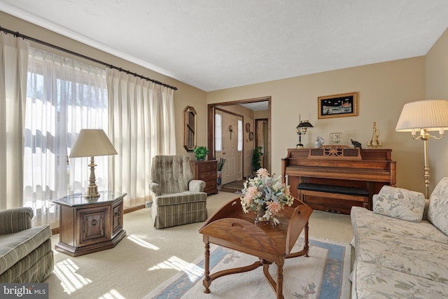 living room featuring light carpet