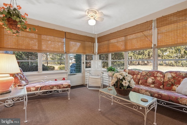 sunroom / solarium featuring ceiling fan