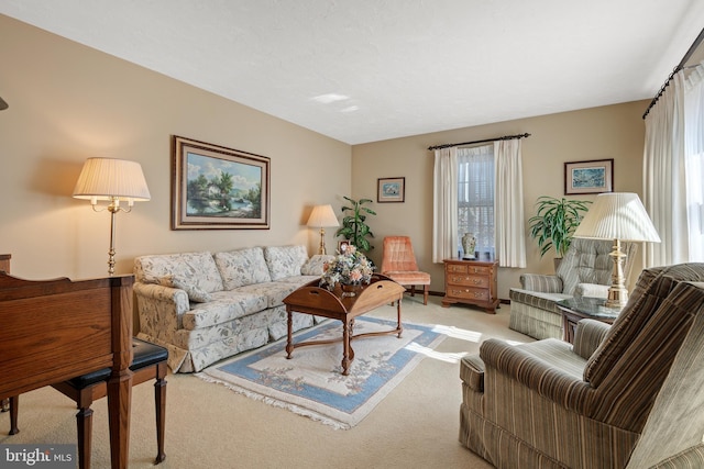 living area with carpet flooring