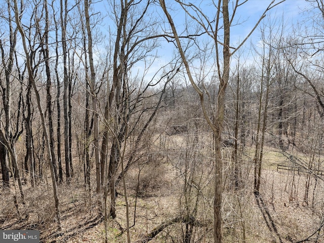 view of nature with a forest view