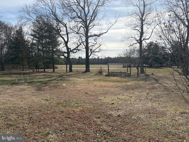 view of yard featuring a rural view