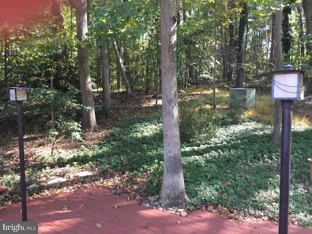 view of yard featuring a wooden deck