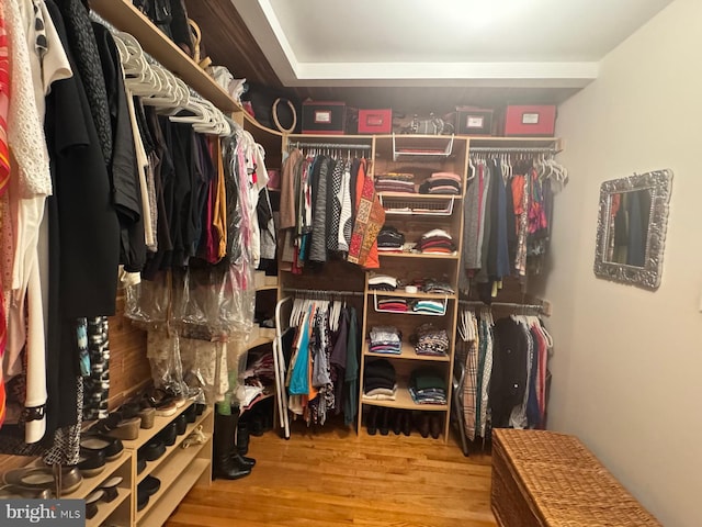 spacious closet featuring wood finished floors