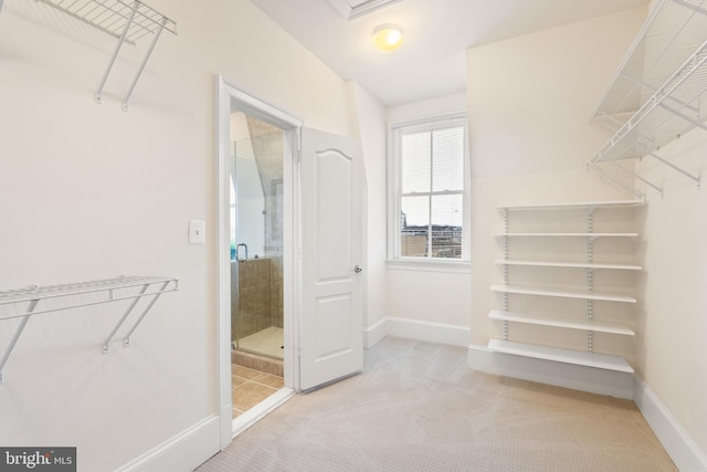 walk in closet with light carpet