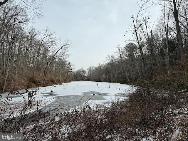 view of yard layered in snow