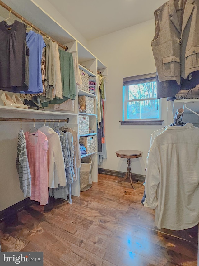 walk in closet featuring wood finished floors