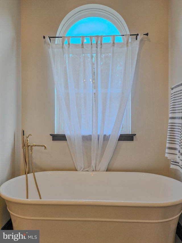 bathroom with a freestanding tub