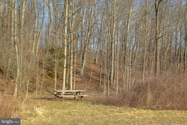 view of landscape featuring a view of trees