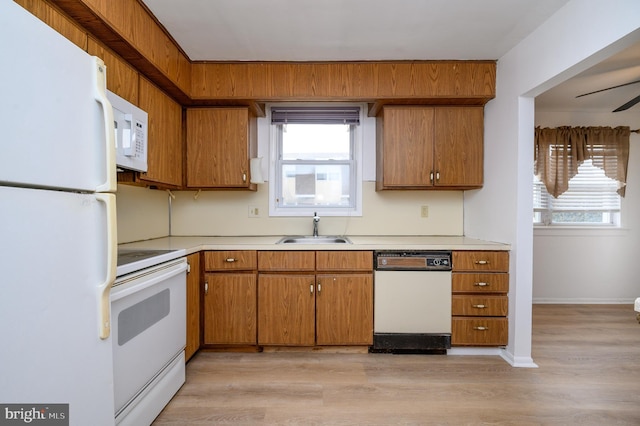 kitchen featuring brown cabinets, light countertops, a sink, light wood-type flooring, and white appliances