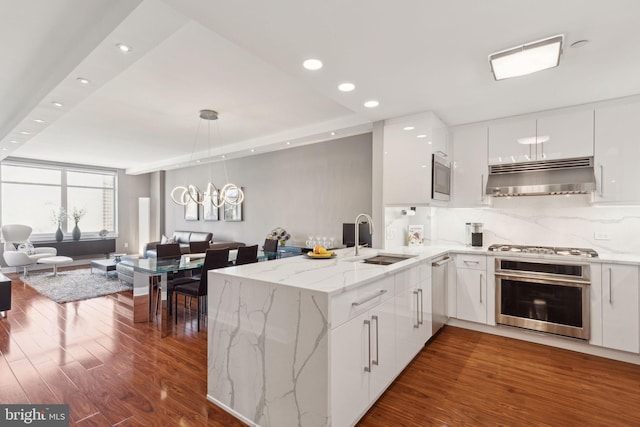 kitchen with white cabinets, a peninsula, range hood, stainless steel appliances, and a sink