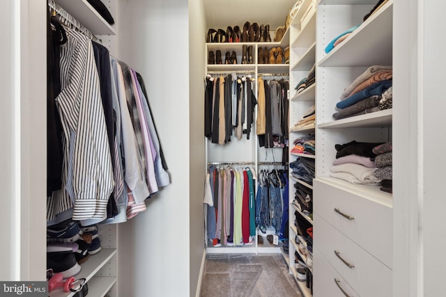 spacious closet featuring carpet