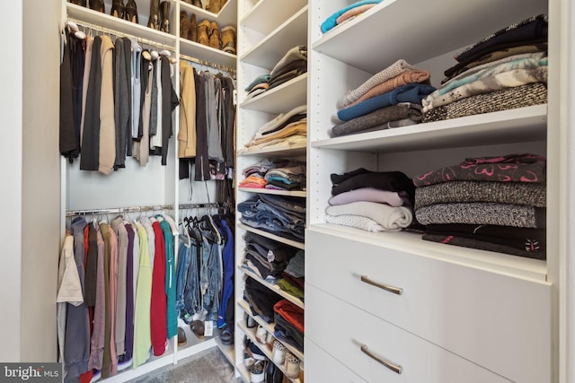 view of walk in closet