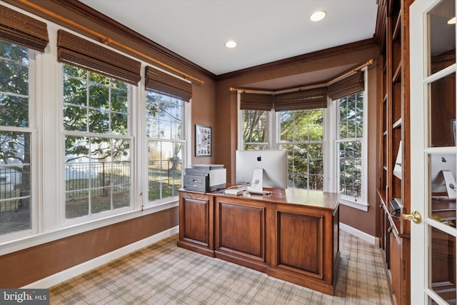 office space featuring ornamental molding, plenty of natural light, baseboards, and light floors