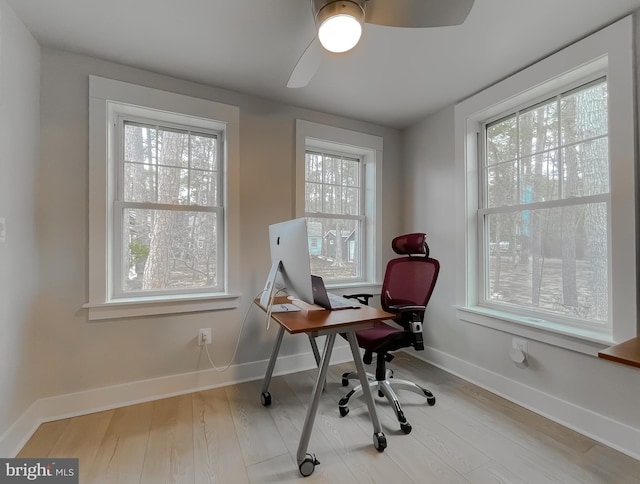 office area featuring wood finished floors, a wealth of natural light, and baseboards