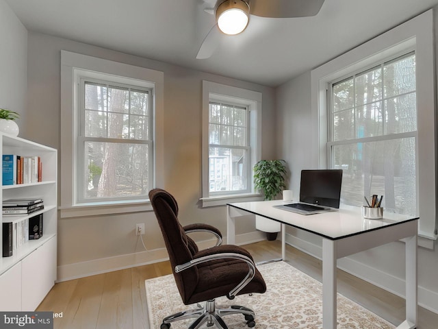 office space featuring plenty of natural light, light wood-style flooring, and baseboards