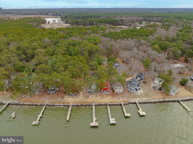 birds eye view of property featuring a water view and a forest view