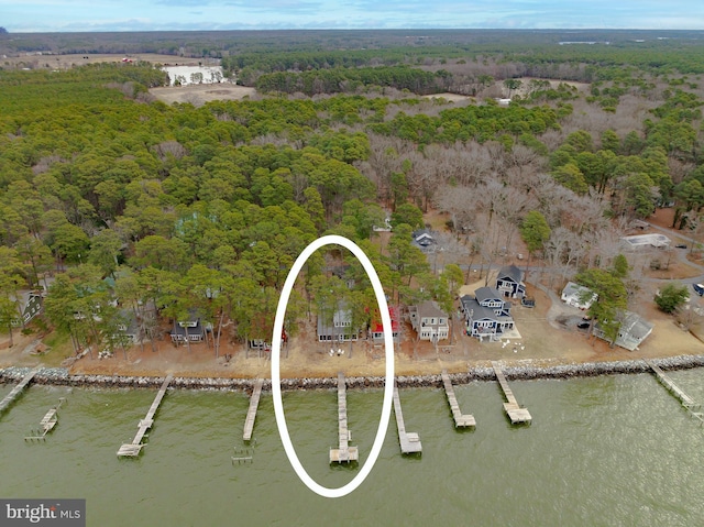 birds eye view of property featuring a water view and a wooded view