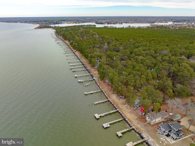 bird's eye view with a water view and a wooded view