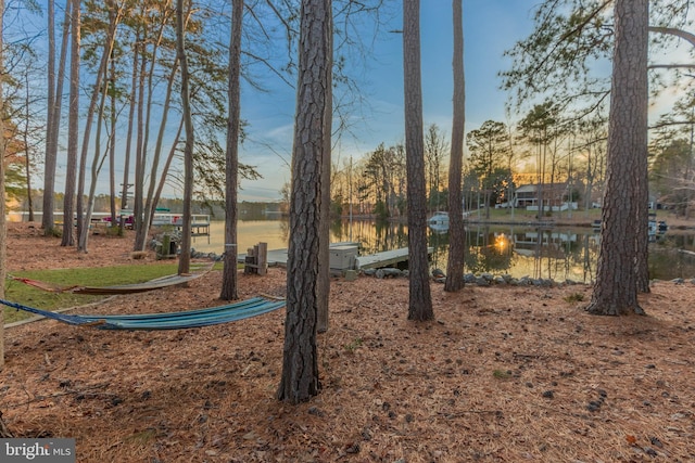 view of yard featuring a water view