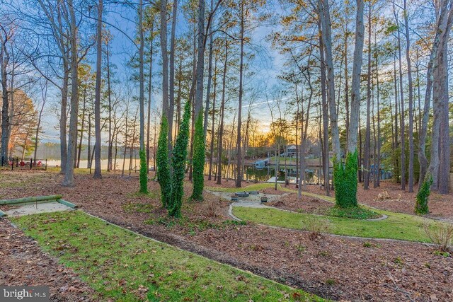 view of yard at dusk