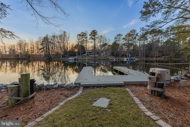 dock area with a water view