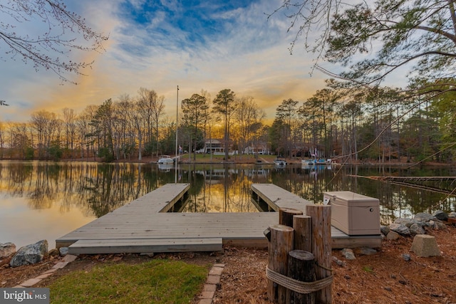 dock area featuring a water view