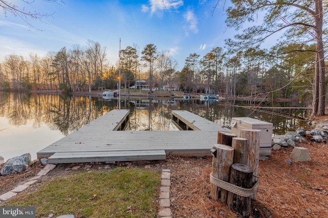 dock area with a water view