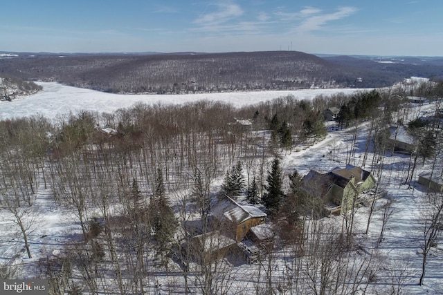 snowy aerial view featuring a mountain view