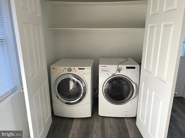 washroom with dark wood-type flooring, washer and dryer, and laundry area