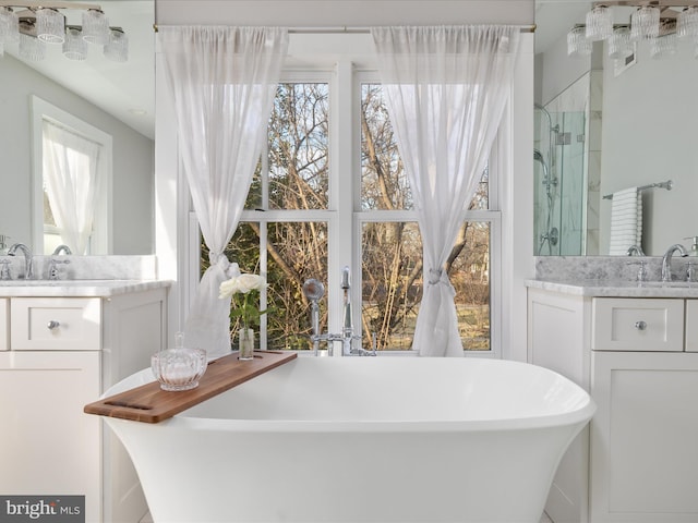 full bath featuring a freestanding tub, plenty of natural light, vanity, and a shower stall