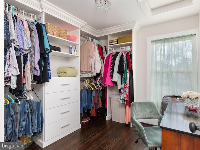 walk in closet featuring dark wood-style floors and attic access