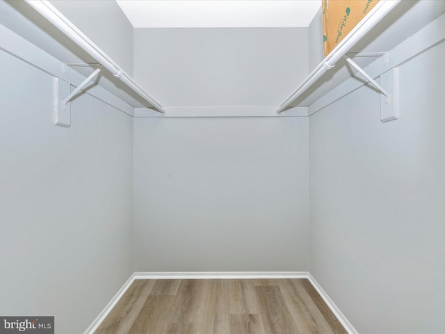 walk in closet featuring wood finished floors