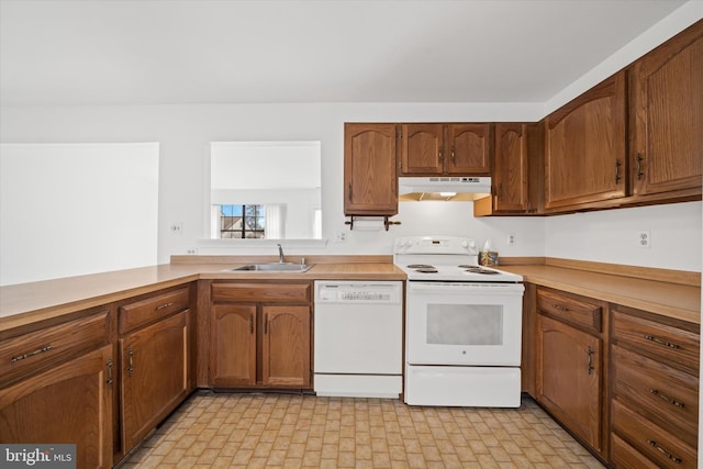 kitchen featuring under cabinet range hood, white appliances, a sink, light countertops, and brown cabinetry