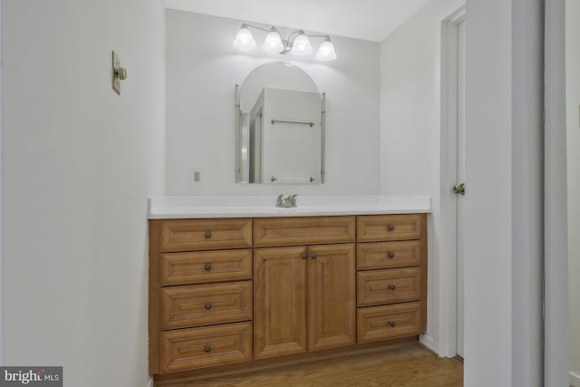 bathroom with vanity and wood finished floors