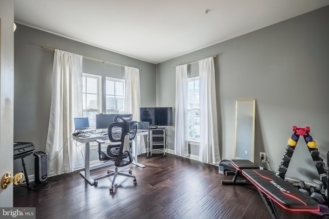 office featuring dark wood-style floors