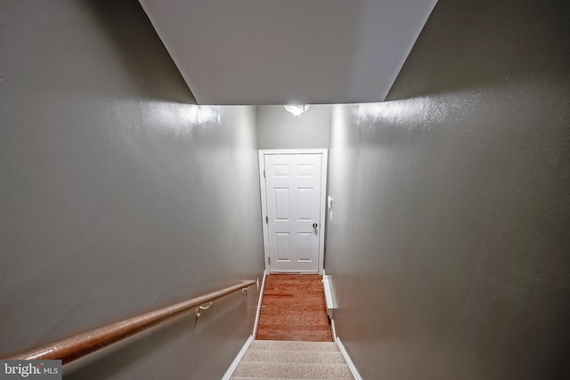 staircase featuring baseboards and carpet flooring