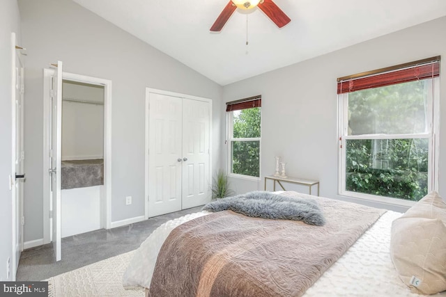 carpeted bedroom with two closets, lofted ceiling, baseboards, and ceiling fan