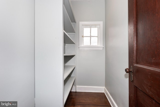 walk in closet with wood finished floors