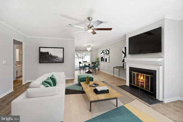 living area with a glass covered fireplace, wood finished floors, and ornamental molding