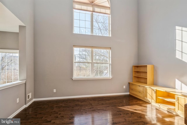 interior space featuring dark wood-style floors, plenty of natural light, and baseboards