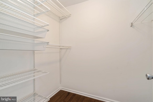 walk in closet with dark wood finished floors