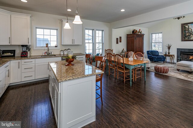 15 Milford Pl, Skillman, NJ 08558 - kitchen featuring a warm lit fireplace, dark wood-type flooring, a sink, white cabinets, and open floor plan