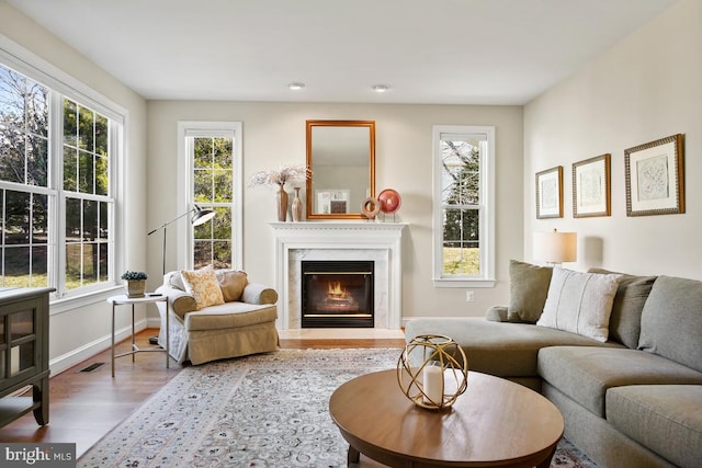 living room with baseboards, visible vents, a premium fireplace, and wood finished floors